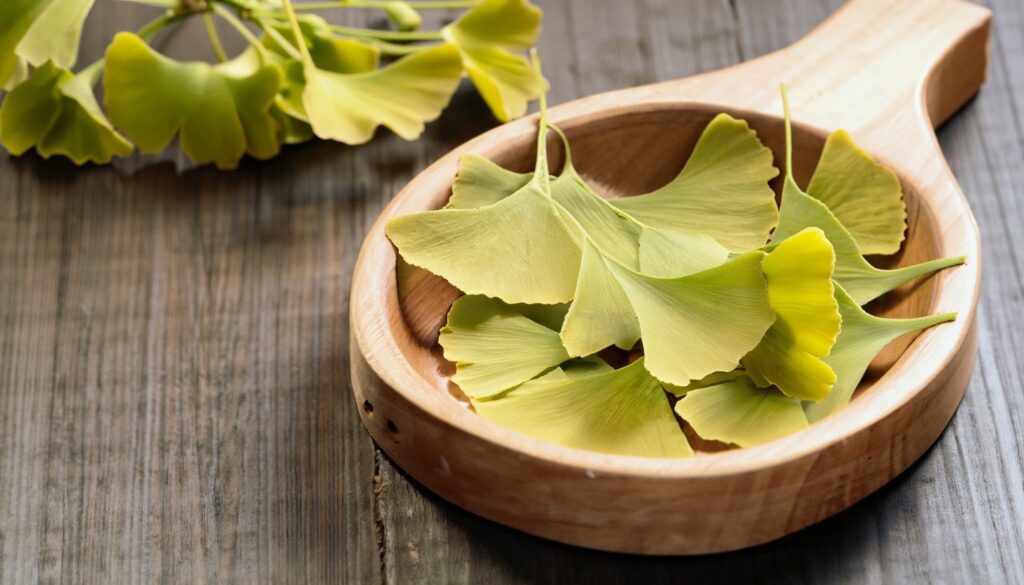 ginkgo biloba table