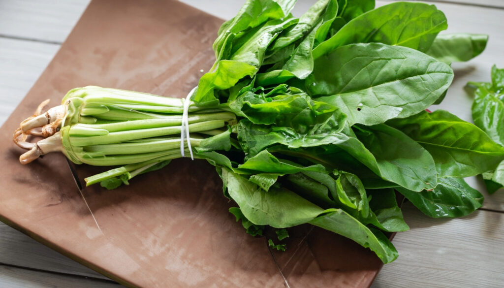 sorrel plant table